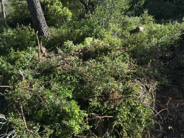 Terrassement de Terrain à Cassis: Un Projet Réalisé par TDEM SAS !
